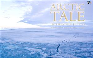 Arctic Tale